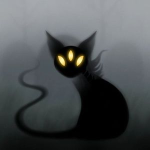 Meet your Posher, Quinn